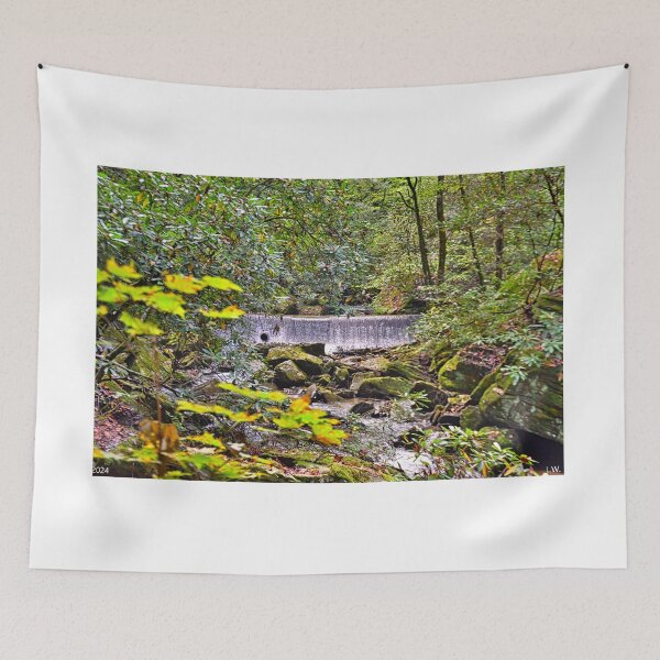 Item preview, Colt Creek Waterfall North Carolina designed and sold by LisaWootenPhoto.