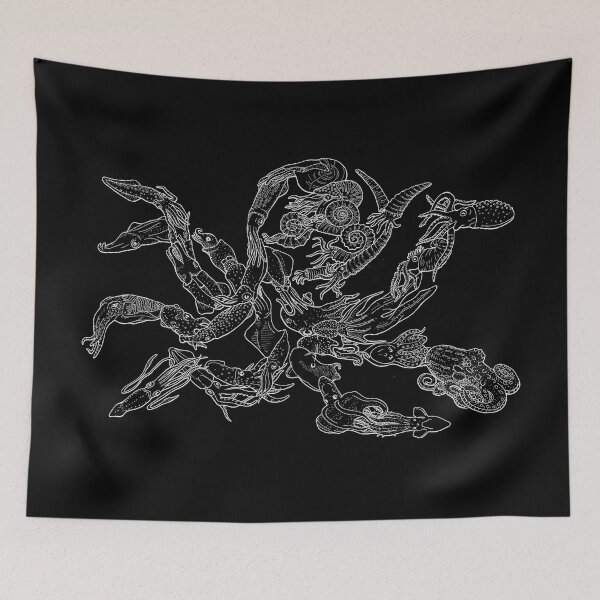 Item preview, Cephalopods - White and Black - Octopus, Squid - Evolution designed and sold by EvolutionPoster.