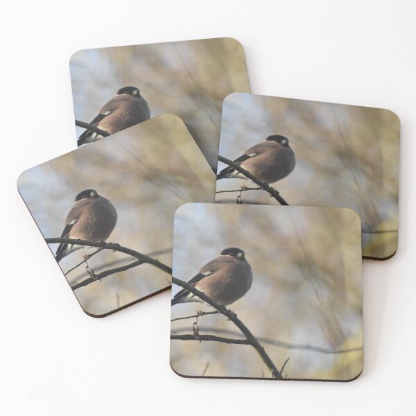 Item preview, Portrait of a female bullfinch designed and sold by Alison Stevens.