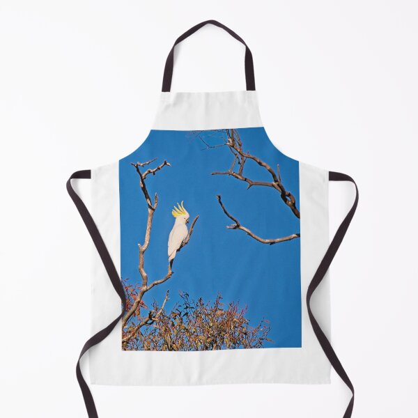 Item preview, Sulphur Crested Cockatoo, Canberra, Australia 1 Sulphur Crested Cockatoo, Canberra, Australia 1 designed and sold by StevenRalserPhoto.