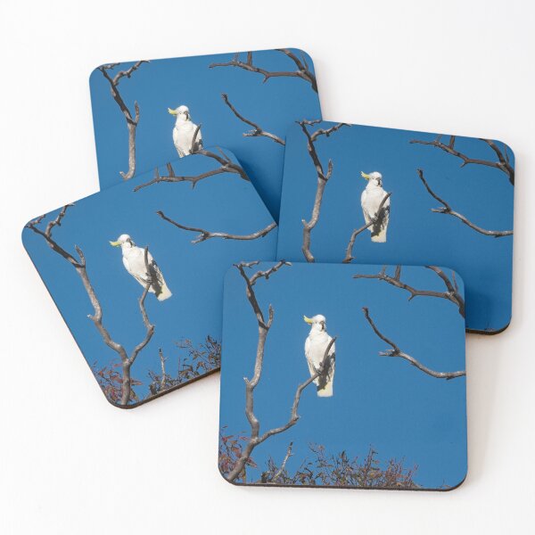 Item preview, Sulphur Crested Cockatoo, Canberra, Australia 2 designed and sold by StevenRalserPhoto.