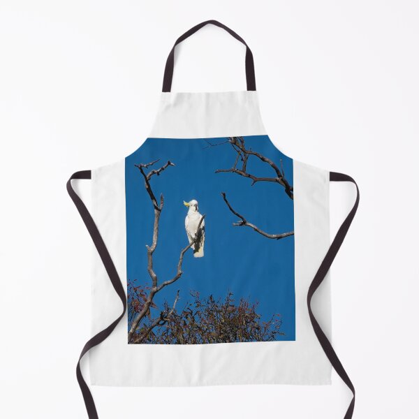 Item preview, Sulphur Crested Cockatoo, Canberra, Australia 2 designed and sold by StevenRalserPhoto.
