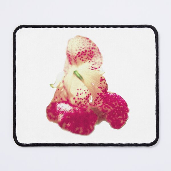 Item preview, Flower designed and sold by Chrisna Senatus.
