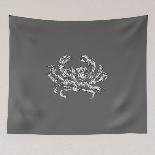 Item preview, Crustaceans - Evolution designed and sold by EvolutionPoster.