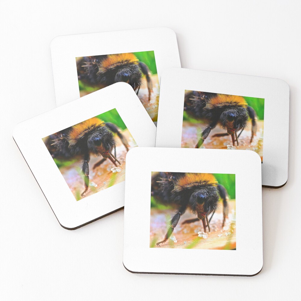 Item preview, Coasters (Set of 4) designed and sold by Ribster13.