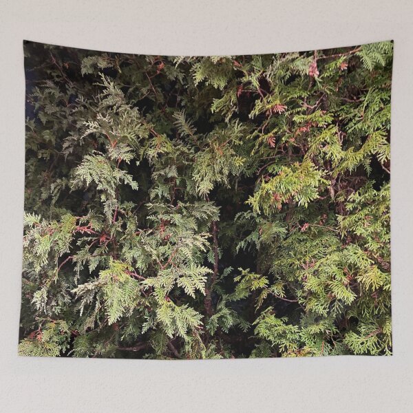 Item preview, Eastern Arborvitae at Night  designed and sold by CJRPics.
