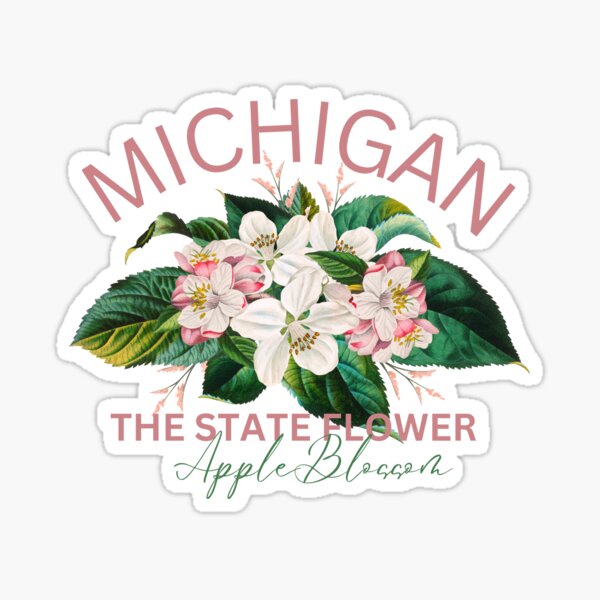Item preview, Michigan Apple Blossom State Flower Classic T-shirt Sticker designed and sold by ThinkNature!.