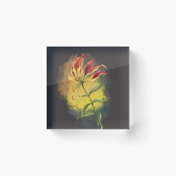 Item preview, Stylized Flame Lily illustration designed and sold by MvuuStudio.