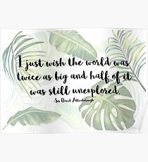David Attenborough wildlife quote Poster