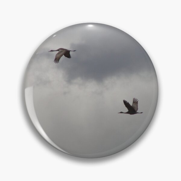 Item preview, Trio of Sandhill Cranes in Flight (Antigone canadensis) designed and sold by TheNatureNerd.