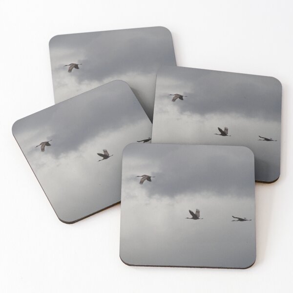 Item preview, Trio of Sandhill Cranes in Flight (Antigone canadensis) designed and sold by TheNatureNerd.