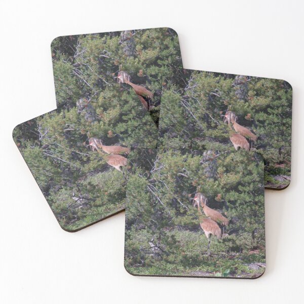 Item preview, Pair of Sandhill Cranes (Antigone canadensis) designed and sold by TheNatureNerd.