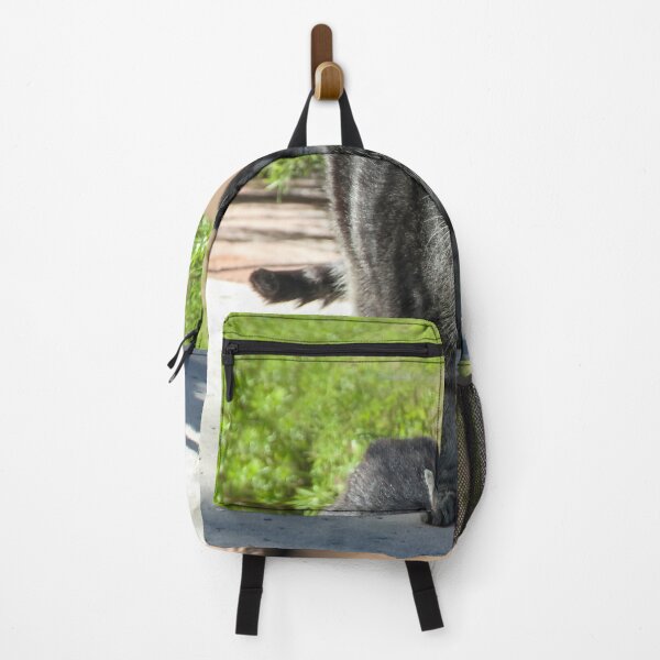 Item preview, Which Way is Home ? designed and sold by heatherfriedman.