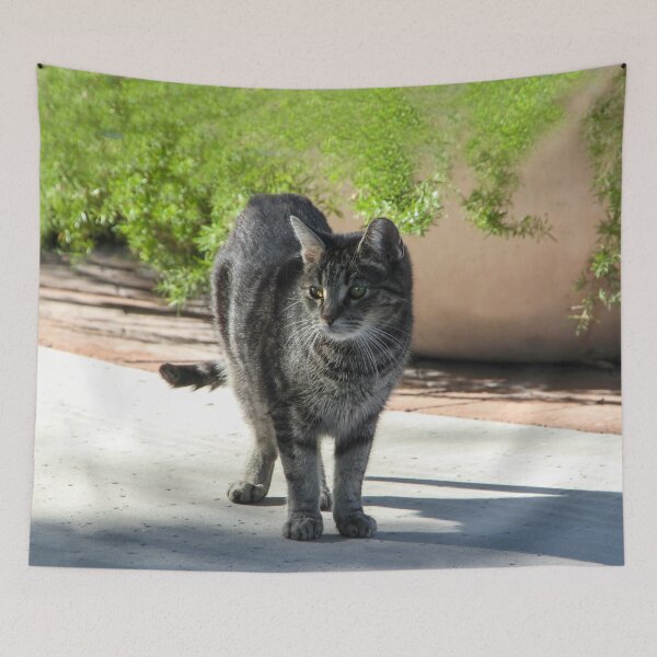 Item preview, Which Way is Home ? designed and sold by heatherfriedman.