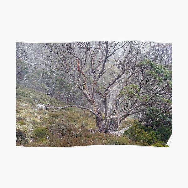 In the Mist Poster