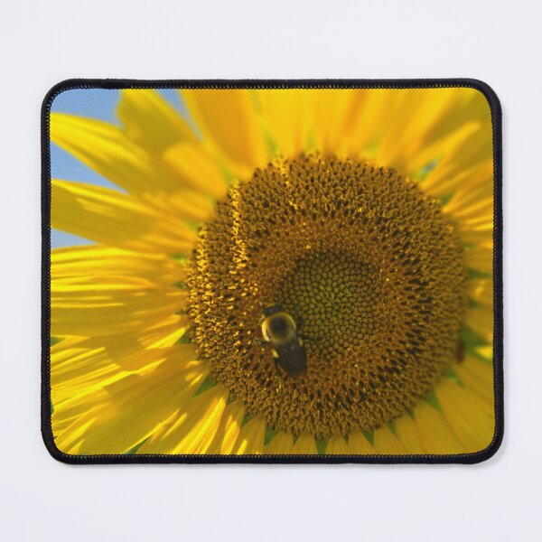 Item preview, Sunflower Patch designed and sold by Drop-Dead-VU.