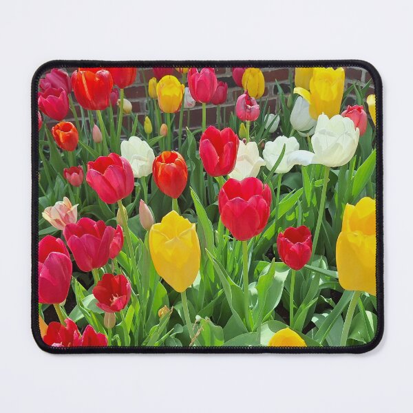 Item preview, Colorful Tulips designed and sold by ShamrockLynn.