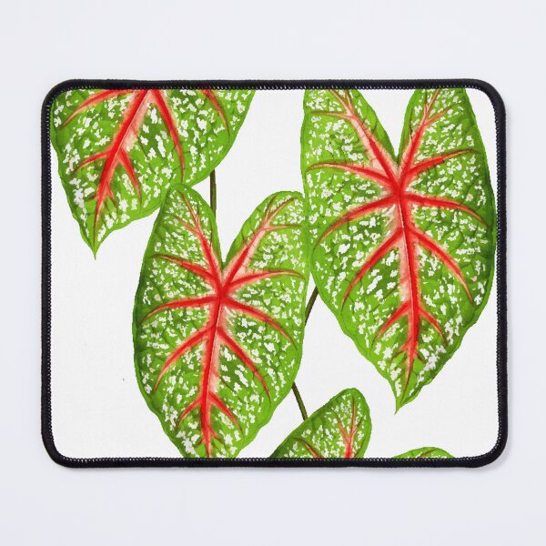 Item preview, Expression of Peace #redbubble #lifestyle designed and sold by 83oranges.com.
