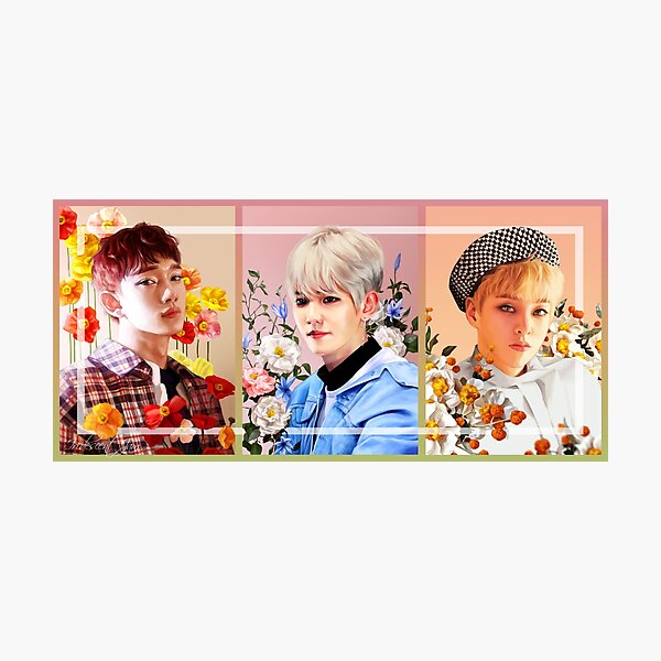 Item preview, ⋄ BLOOMING BOYS ⋄ EXO-CBX designed and sold by iridescentjam.