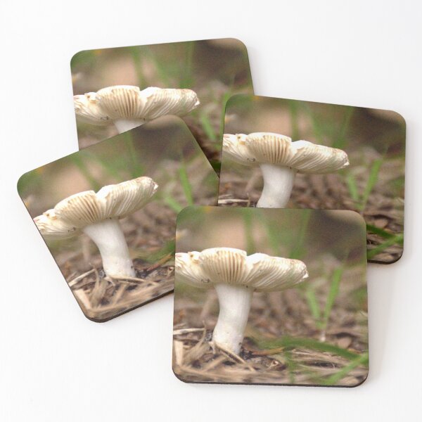 Item preview, Front Yard Fungi designed and sold by MercerImages.