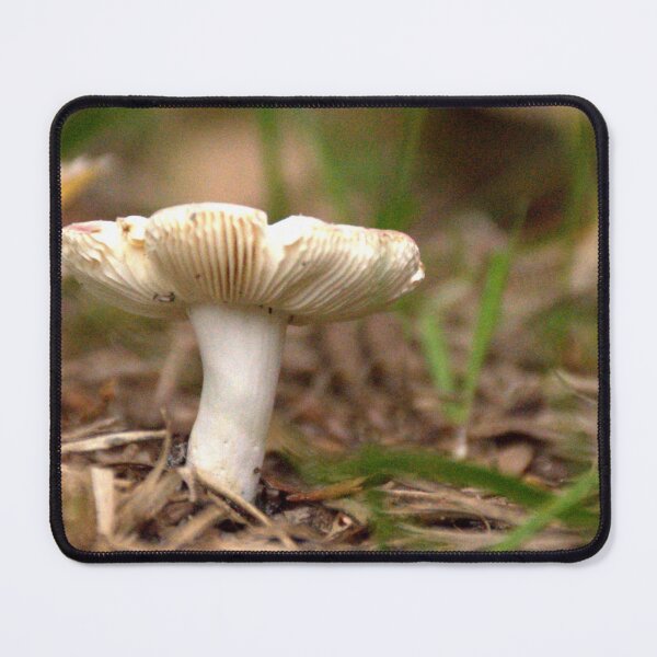 Item preview, Front Yard Fungi designed and sold by MercerImages.