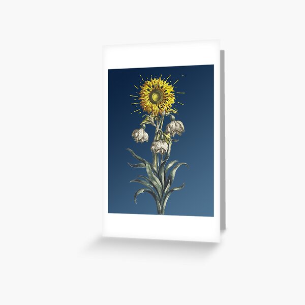 Winter Solstice Greeting Card