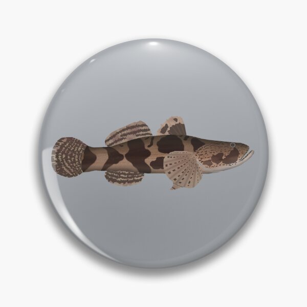 Aperçu de l'œuvre Goujon géant créée et vendue par fishfolkart.