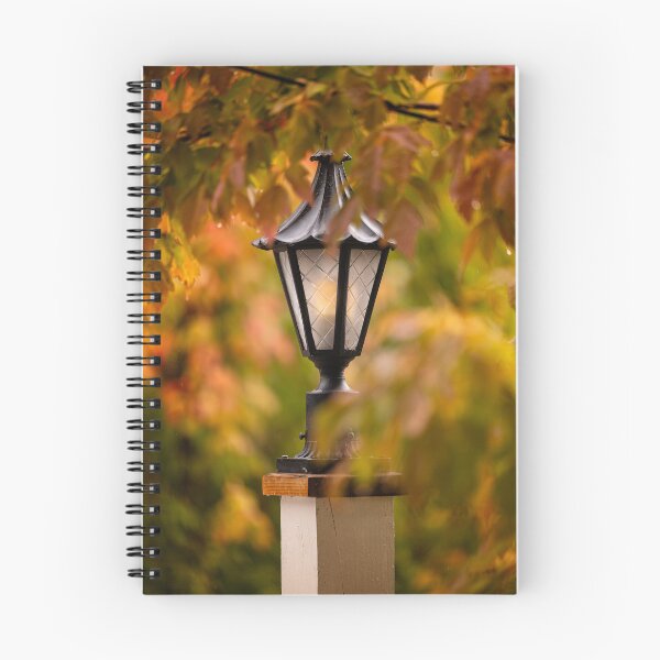 Item preview, Warm Autumn Light designed and sold by melissaogara.