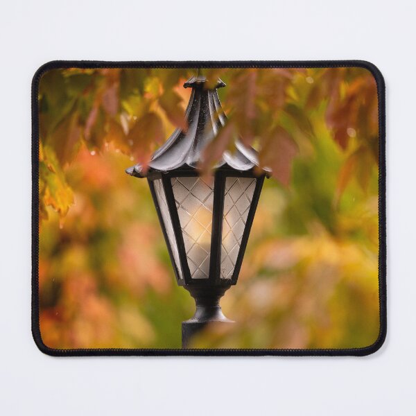 Item preview, Warm Autumn Light designed and sold by melissaogara.