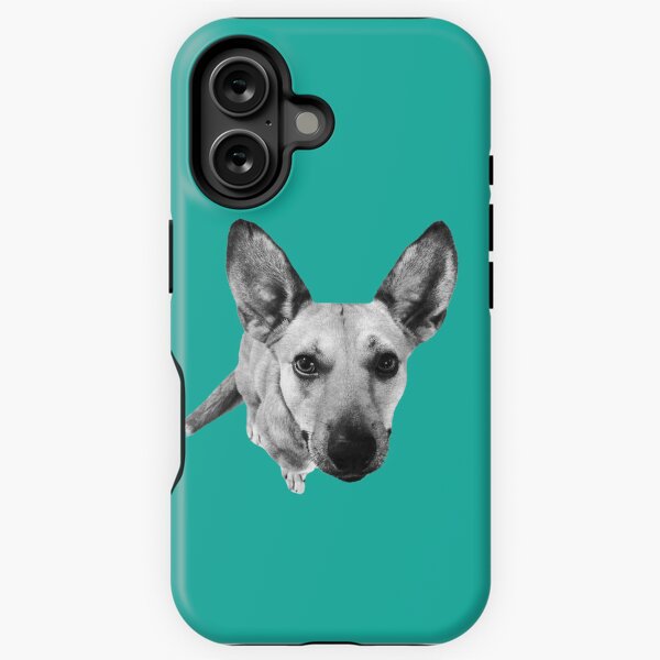 Carolina Dog Gray Pup - American Dingo iPhone Tough Case