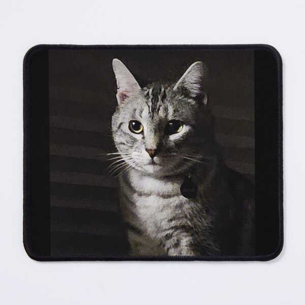 Item preview, Drama cat designed and sold by DancingCreek.