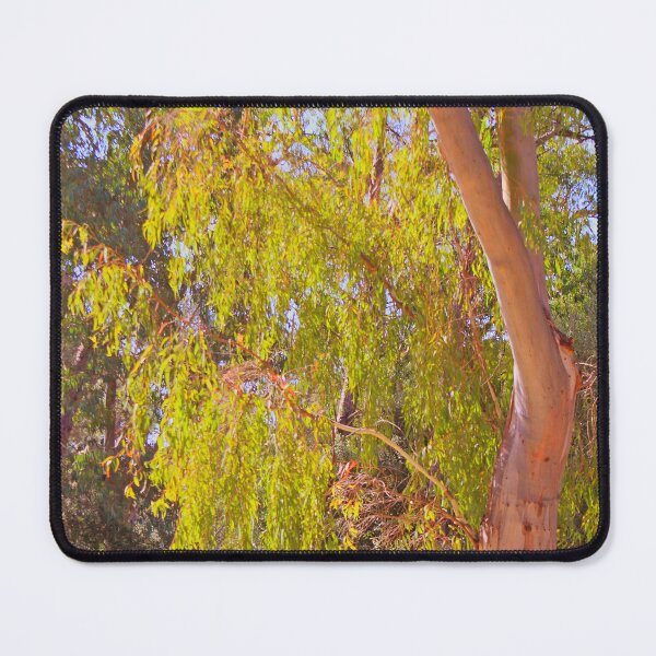 Item preview, tree greeting the morning sun designed and sold by Tereza Pilar Art.