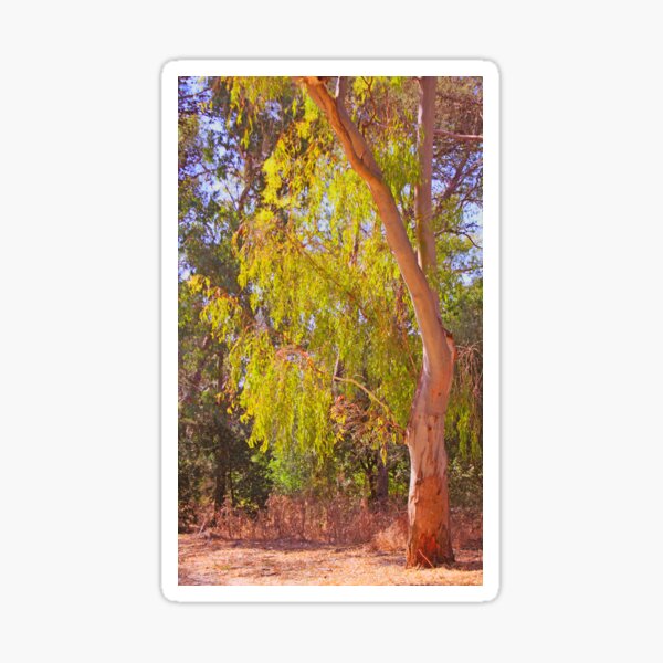 Item preview, tree greeting the morning sun designed and sold by Tereza Pilar  Art.