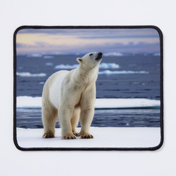 Item preview, 127. designed and sold by Dawn van Doorn.