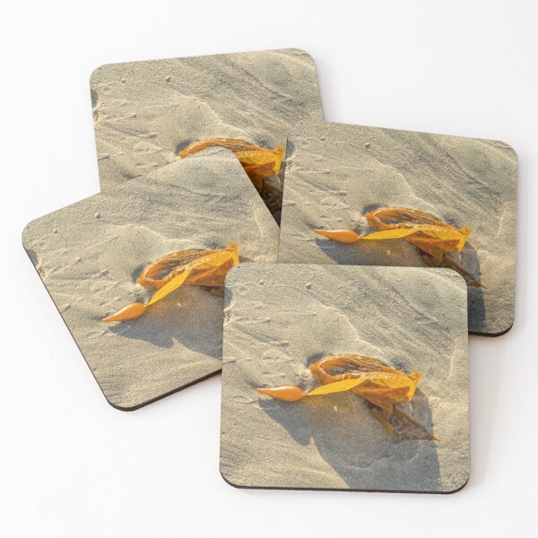 Item preview, Kelp Pod on the Beach designed and sold by SafariByMarisa.