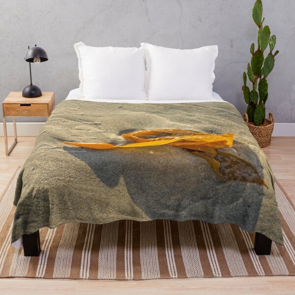 Artikelvorschau, Kelp Pod am Strand entworfen und verkauft von SafariByMarisa.