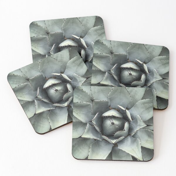 Item preview, Agave Closeup, Sunnylands, Rancho Mirage, California designed and sold by Douglas E. Welch Design and Photography.