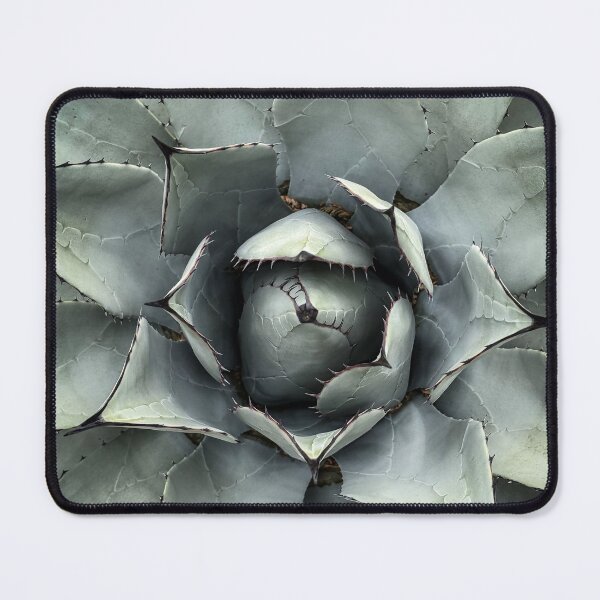 Item preview, Agave Closeup, Sunnylands, Rancho Mirage, California designed and sold by Douglas E. Welch Design and Photography.
