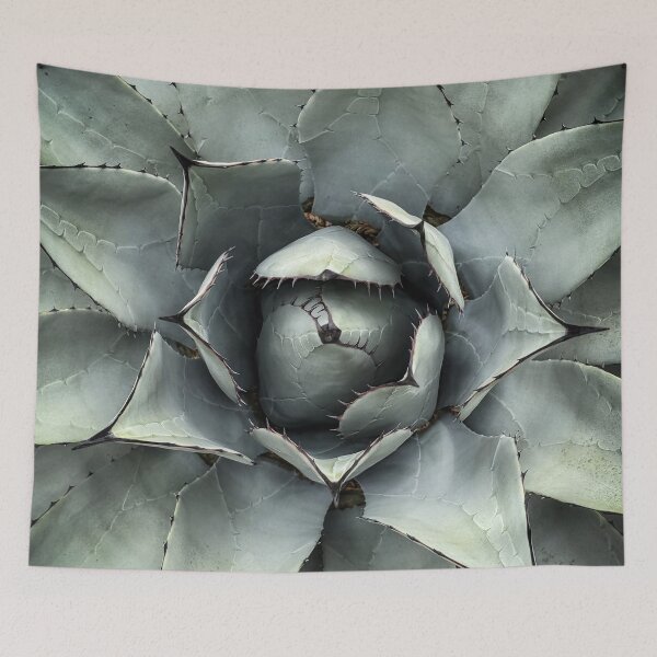 Item preview, Agave Closeup, Sunnylands, Rancho Mirage, California designed and sold by Douglas E. Welch Design and Photography.