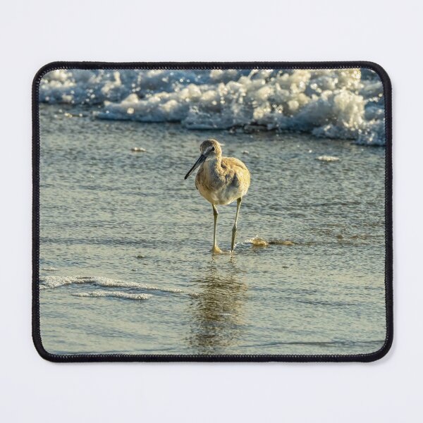 Item preview, Sandpiper Bird and Ocean Waves designed and sold by SafariByMarisa.