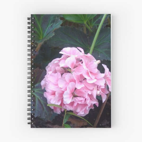 Artikelvorschau, Rosa Hortensie entworfen und verkauft von Crispaytaco.