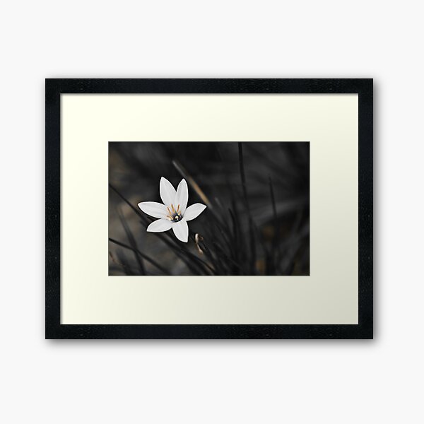 White on black flower Framed Art Print