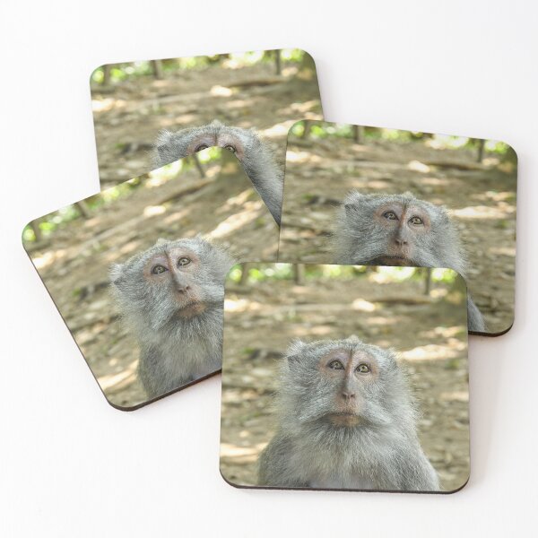 Item preview, A Portrait of a Monkey  designed and sold by Agaland.