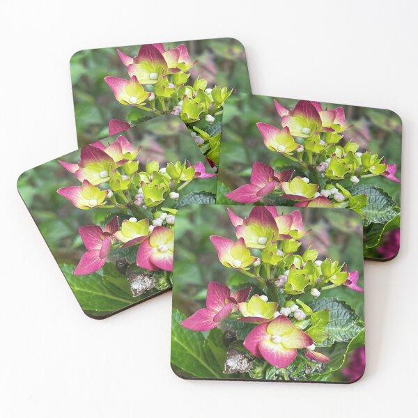 Item preview, Hydrangea Buds From Garden In Peru designed and sold by peaches23.