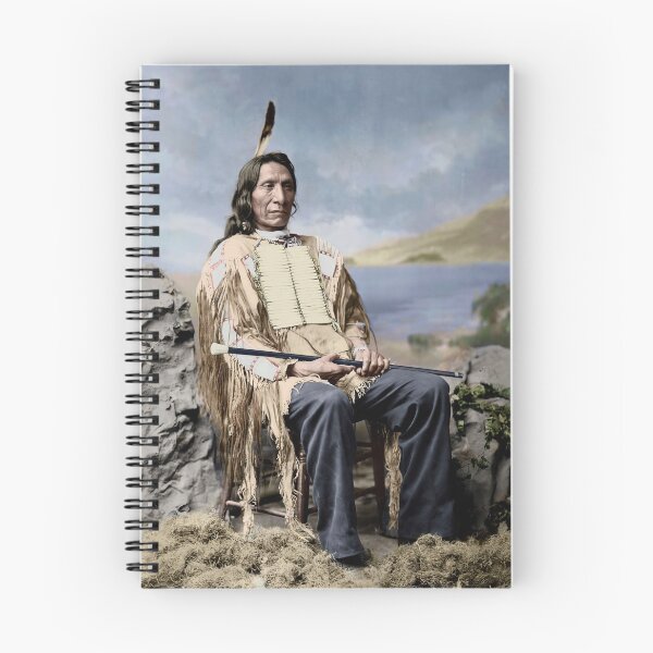 Item preview, Chief Red Cloud 1880 designed and sold by PatSeg Photos.