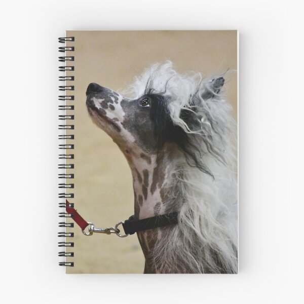 Item preview, Chinese Crested Dog designed and sold by richardbryce.