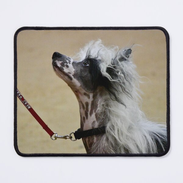 Item preview, Chinese Crested Dog designed and sold by richardbryce.