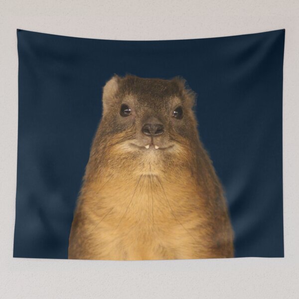 Item preview, Copy of Rock Hyrax Photo - Dassie | Cute Vampire Potato designed and sold by matchakpop.