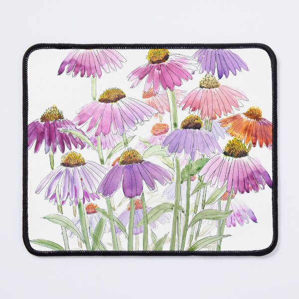 Item preview, colourful coneflowers ink and watercolour painting designed and sold by SelenePaintings .