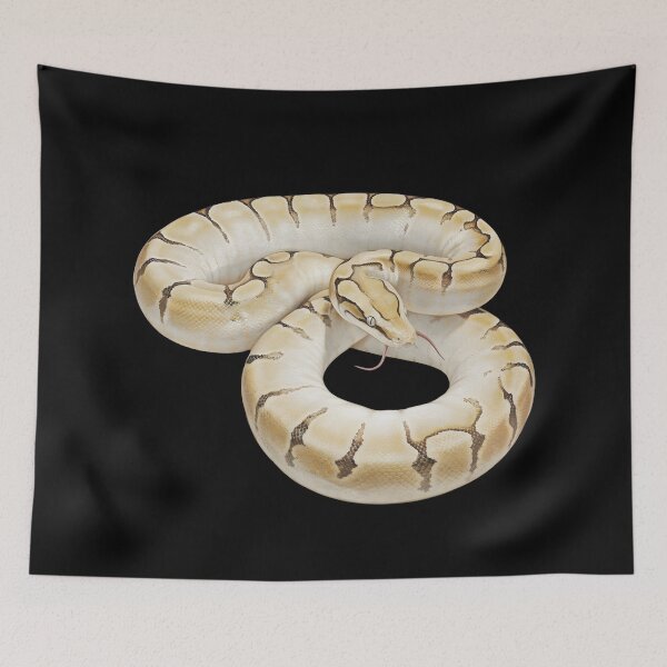Item preview, Crouching royal python designed and sold by MargoMalej.
